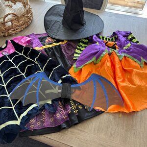 Bundle of dress up/halloween costumes - size 2T-3T